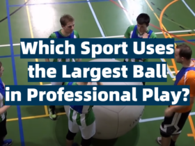 Which Sport Uses the Largest Ball in Professional Play?