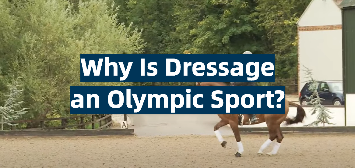 Why Is Dressage an Olympic Sport?