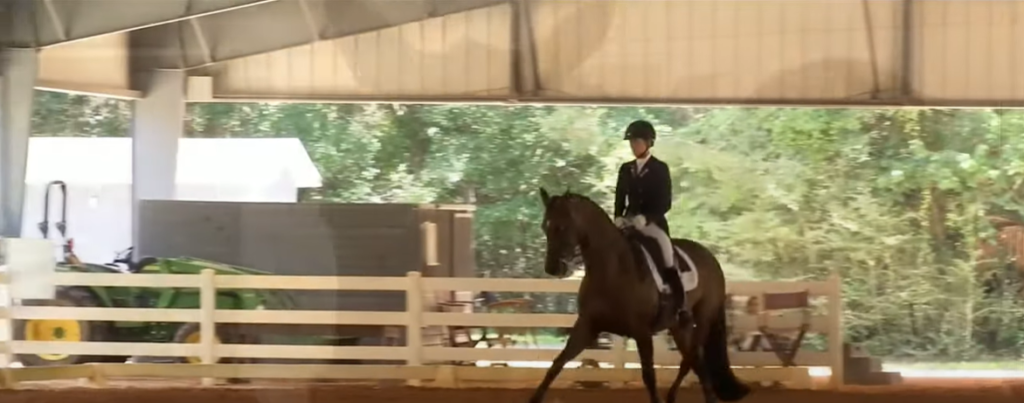 How Dangerous is Dressage