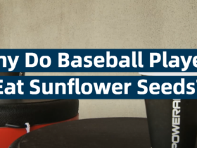 Why Do Baseball Players Eat Sunflower Seeds?